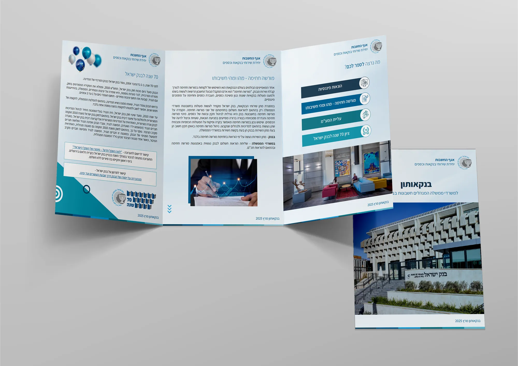 Bank of Israel project image