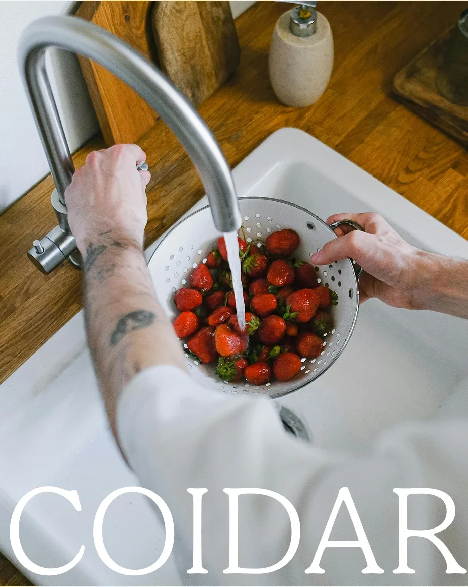 Coidar project image
