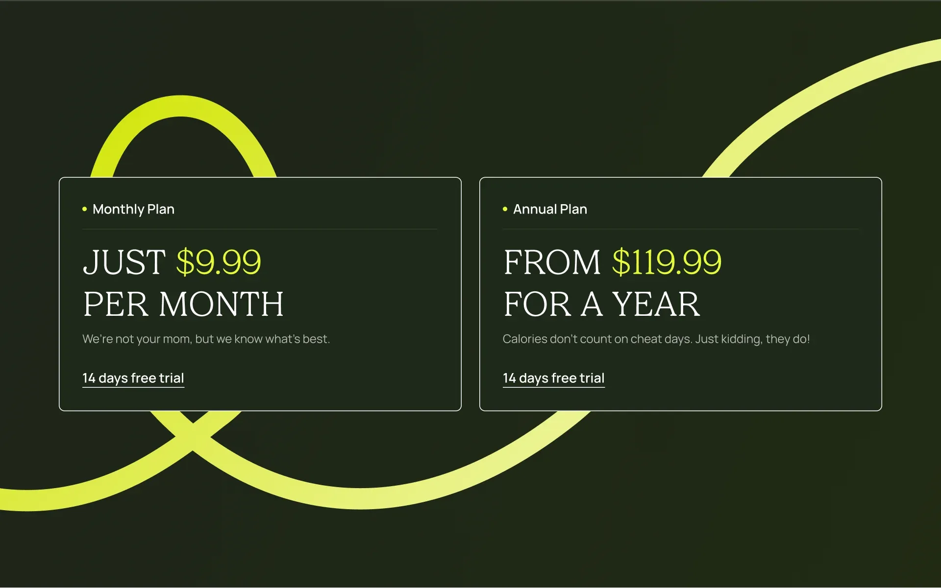 Coidar project image